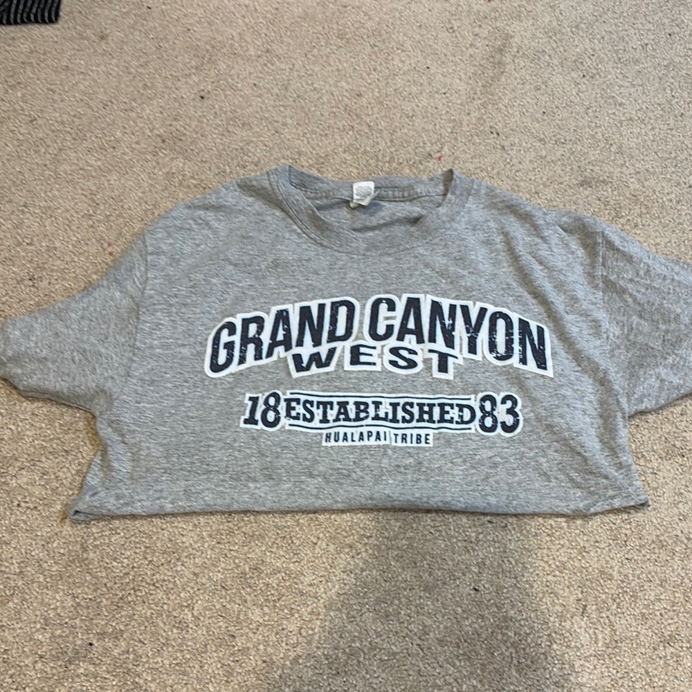 Gray Kids Graphic T-Shirt